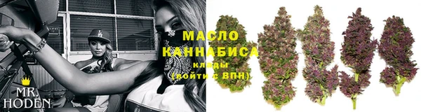 тгк Касимов
