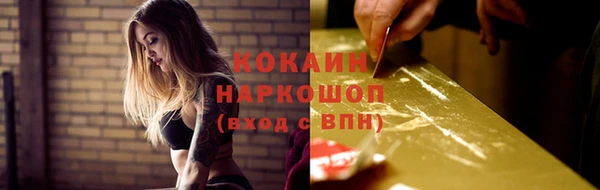 мдпв Карпинск