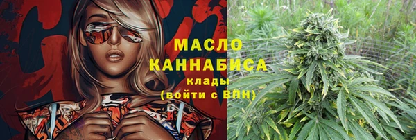 мдпв Карпинск