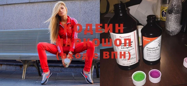 мдпв Карпинск