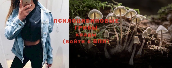 мдпв Карпинск