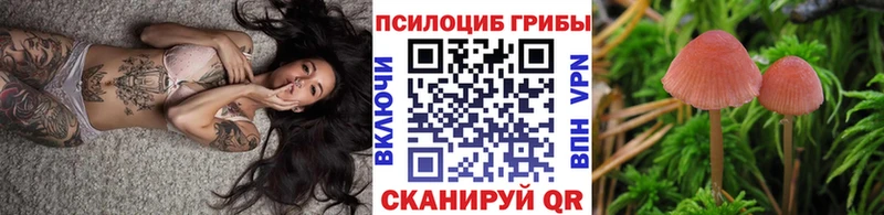 Купить где  Великий Устюг  Галлюциногенные грибы Cubensis 